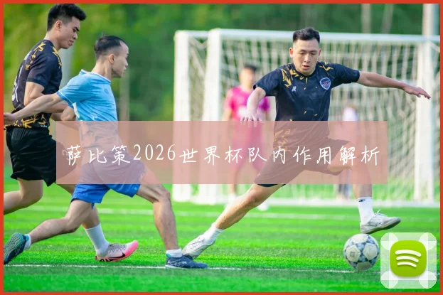 萨比策2026世界杯队内作用解析